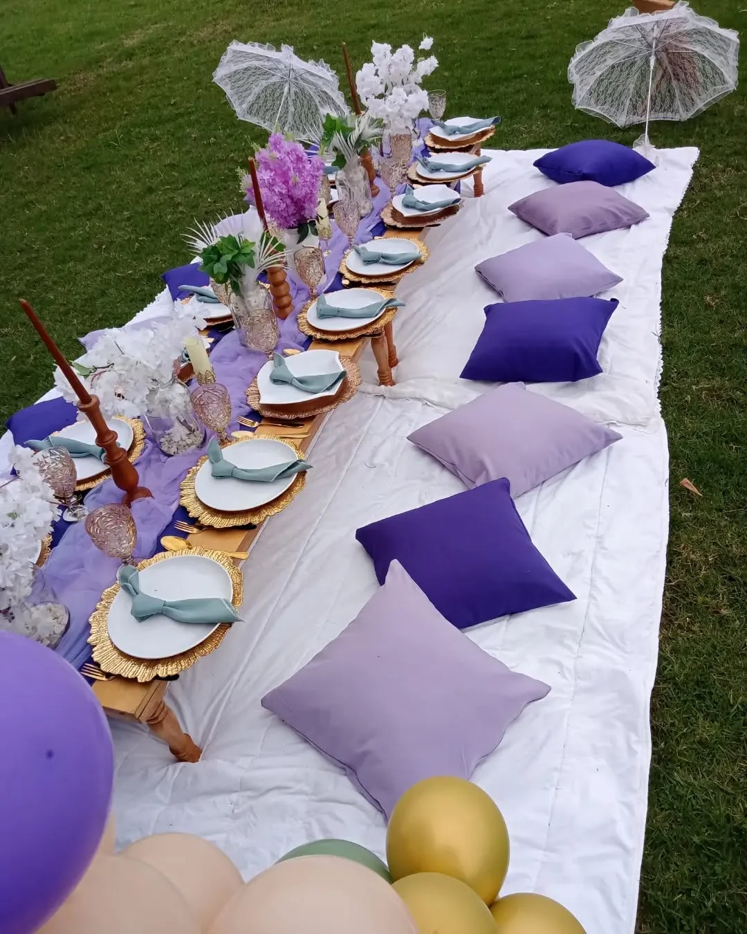 Cozy Couple's Picnic