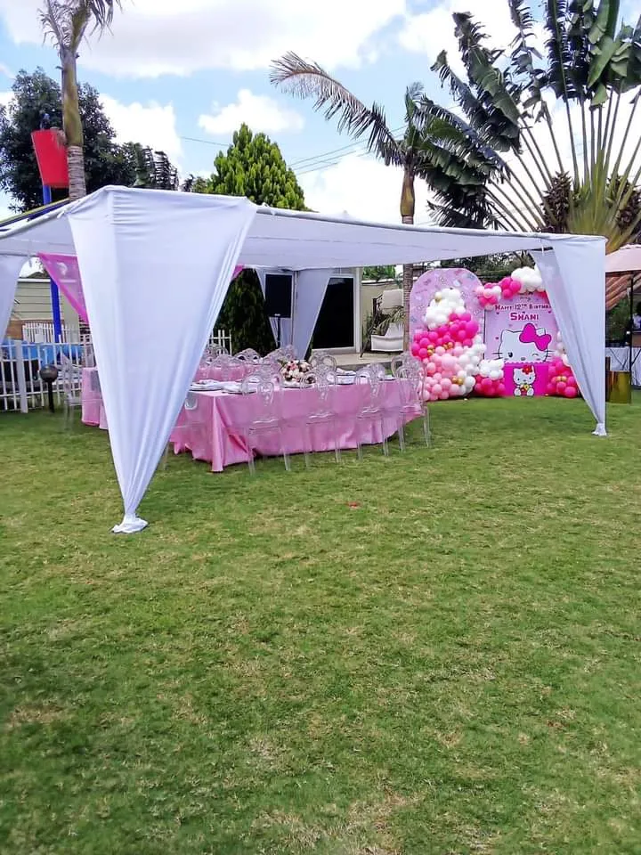 Canopy Tent 17x17ft