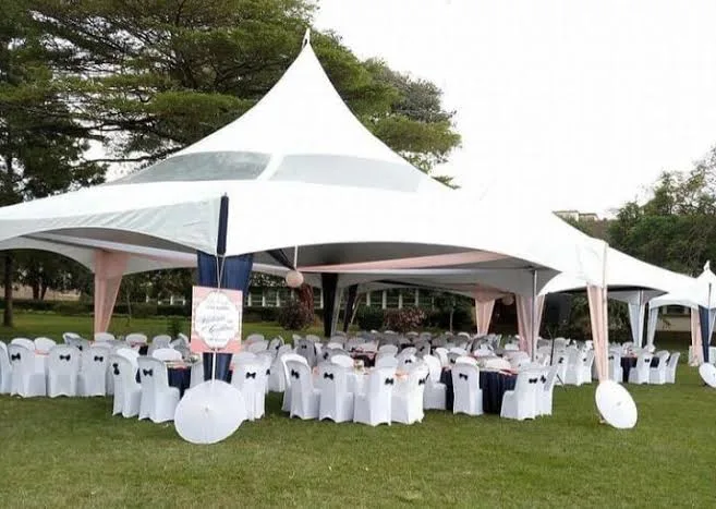Interlocking white high-peak hexagon tents arranged side-by-side to create an expanded, fluid spatial footprint for a large outdoor celebration.
