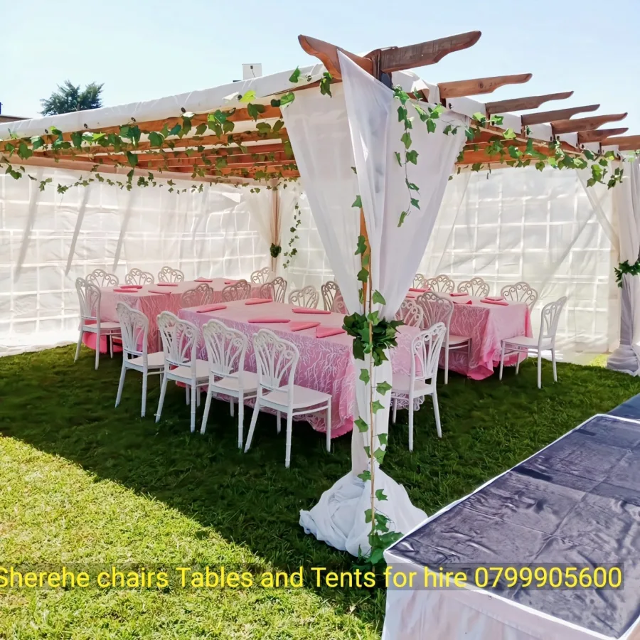 Pergola Tent 50 Sitter 17x17ft
