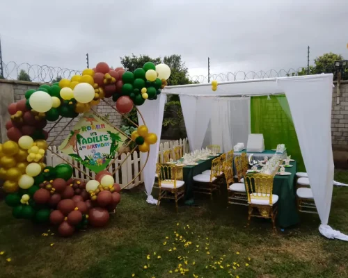 Kids birthday party balloons decorations