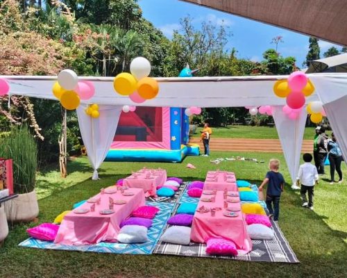 Kids party picnic set up