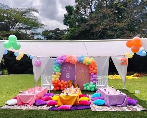 picnic birthday set up