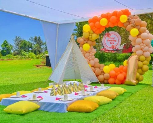 Birthday picnic set up