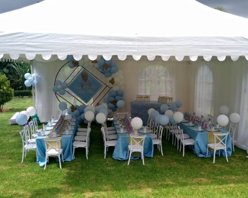 Event essentials and party planner