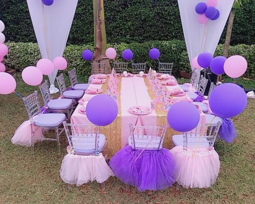Princess theme Kids birthday