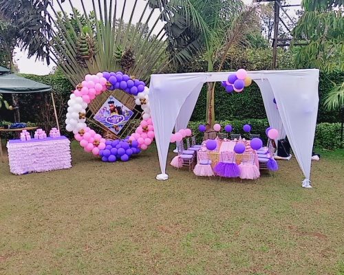 Kids birthday party balloons decorations tables and chairs