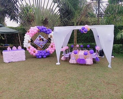 Princess theme Kids birthday